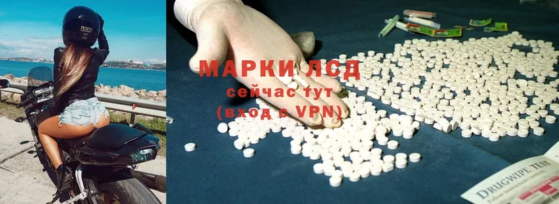 магазин продажи наркотиков  Краснослободск  Лсд 25 экстази ecstasy 